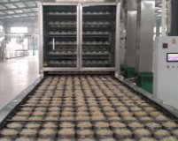 河南自熟粉絲機廠(chǎng)家哪家好？自熟粉絲機多少錢(qián)一臺？