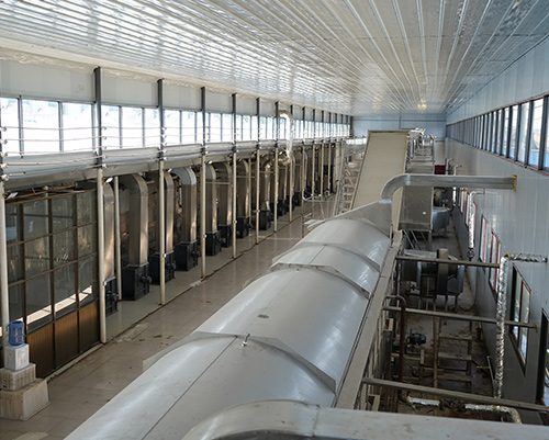 馬鈴薯粉絲機